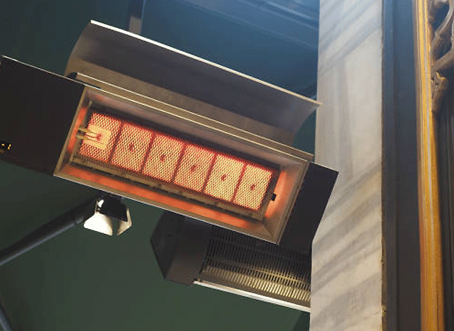 plaque heater